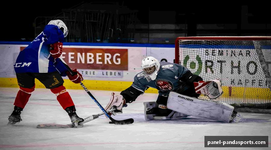 探索熊猫体育注册登录